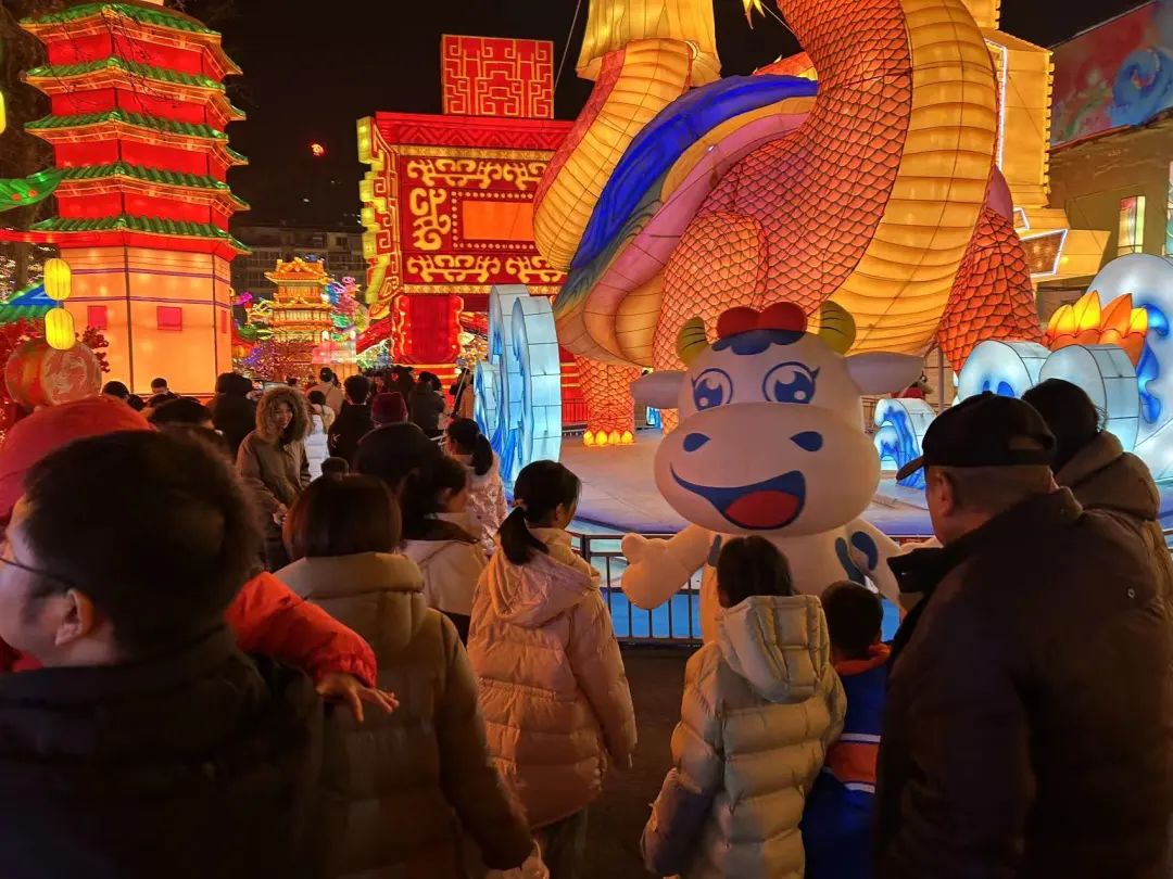 央視直播鄭州龍年燈會(huì)迎新春，花花牛品牌上大分