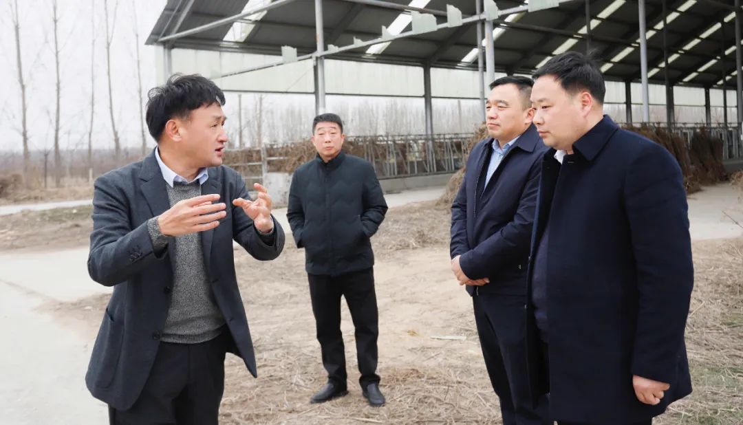 發(fā)揮產(chǎn)業(yè)優(yōu)勢(shì) 助力鄉(xiāng)村振興 | 民權(quán)縣委副書記、縣長(zhǎng)王靜嫻會(huì)見(jiàn)關(guān)曉彥董事長(zhǎng)一行