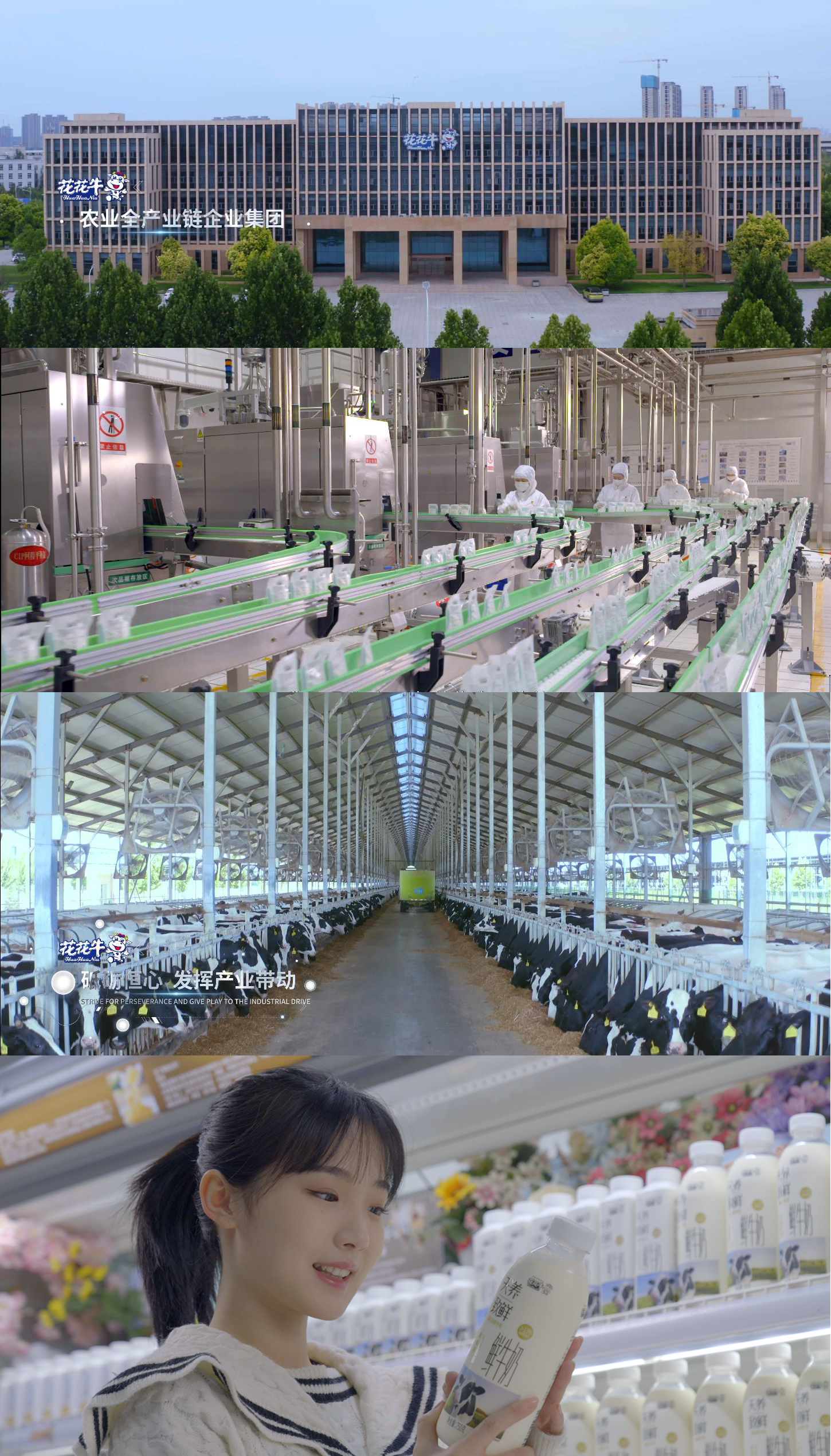 快訊 | 沈陽市政府副市長鄭濱一行蒞臨花花牛乳業(yè)集團(tuán)考察 快訊 | 沈陽市政府副市長鄭濱一行蒞臨花花牛乳業(yè)集團(tuán)考察