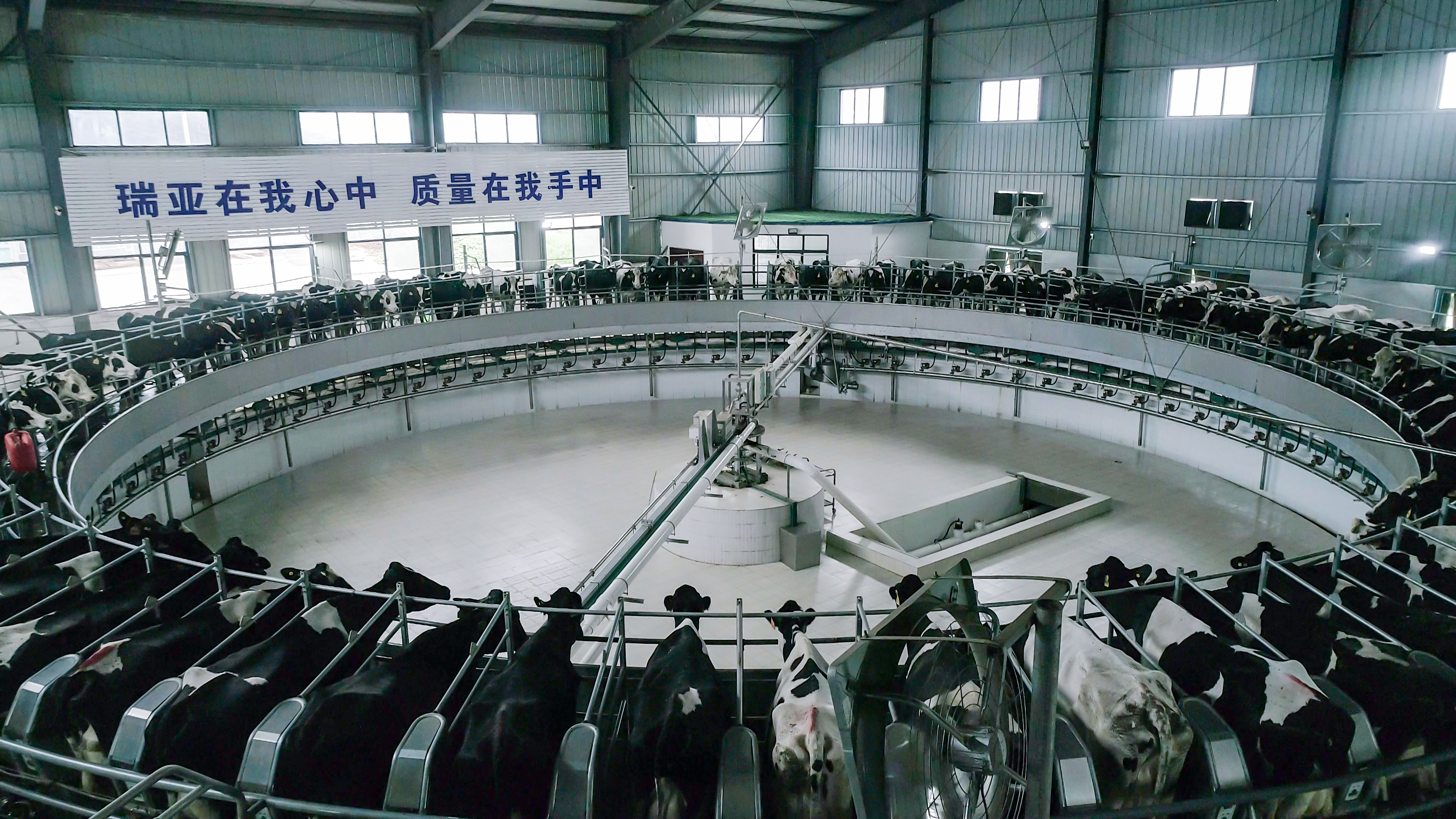 河南省人大常委會黨組書記、副主任孔昌生蒞臨花花牛魯山瑞亞牧場參觀調(diào)研