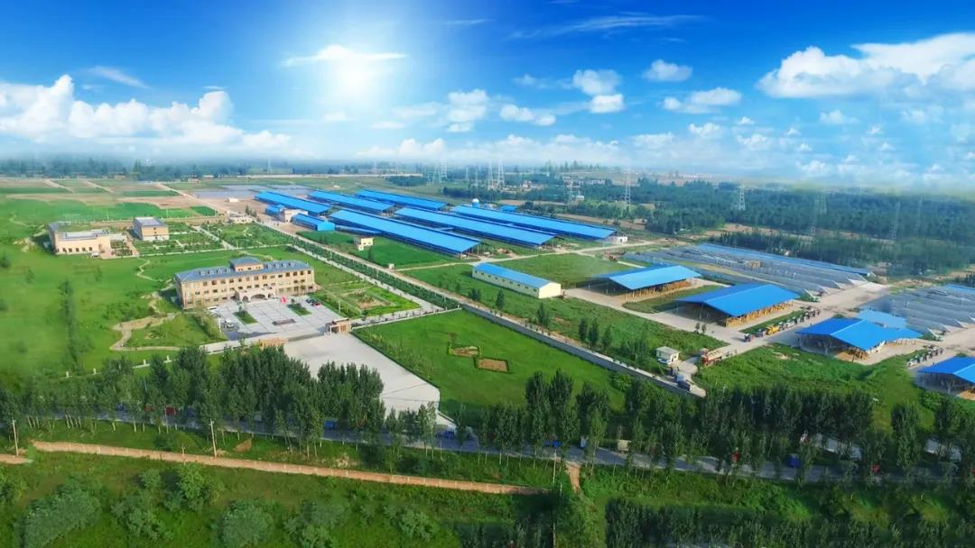 喜訊 | 花花牛一座自有牧場(chǎng)入選河南省“DHI測(cè)定優(yōu)秀牧場(chǎng)” 喜訊 | 花花牛一座自有牧場(chǎng)入選河南省“DHI測(cè)定優(yōu)秀牧場(chǎng)”