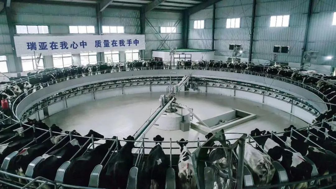 喜訊 | 花花牛一座自有牧場(chǎng)入選河南省“DHI測(cè)定優(yōu)秀牧場(chǎng)” 喜訊 | 花花牛一座自有牧場(chǎng)入選河南省“DHI測(cè)定優(yōu)秀牧場(chǎng)”