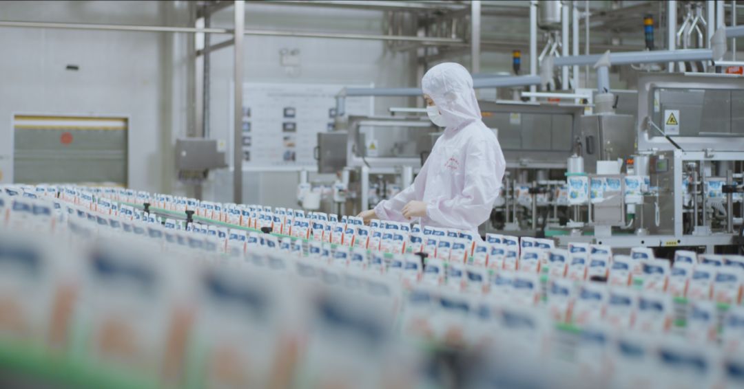 快訊 | 河南省人民政府食品安全委員會辦公室第三批食品安全示范區(qū)驗收組領(lǐng)導蒞臨花花牛乳業(yè)集團驗收食品安全示范區(qū)建設情況