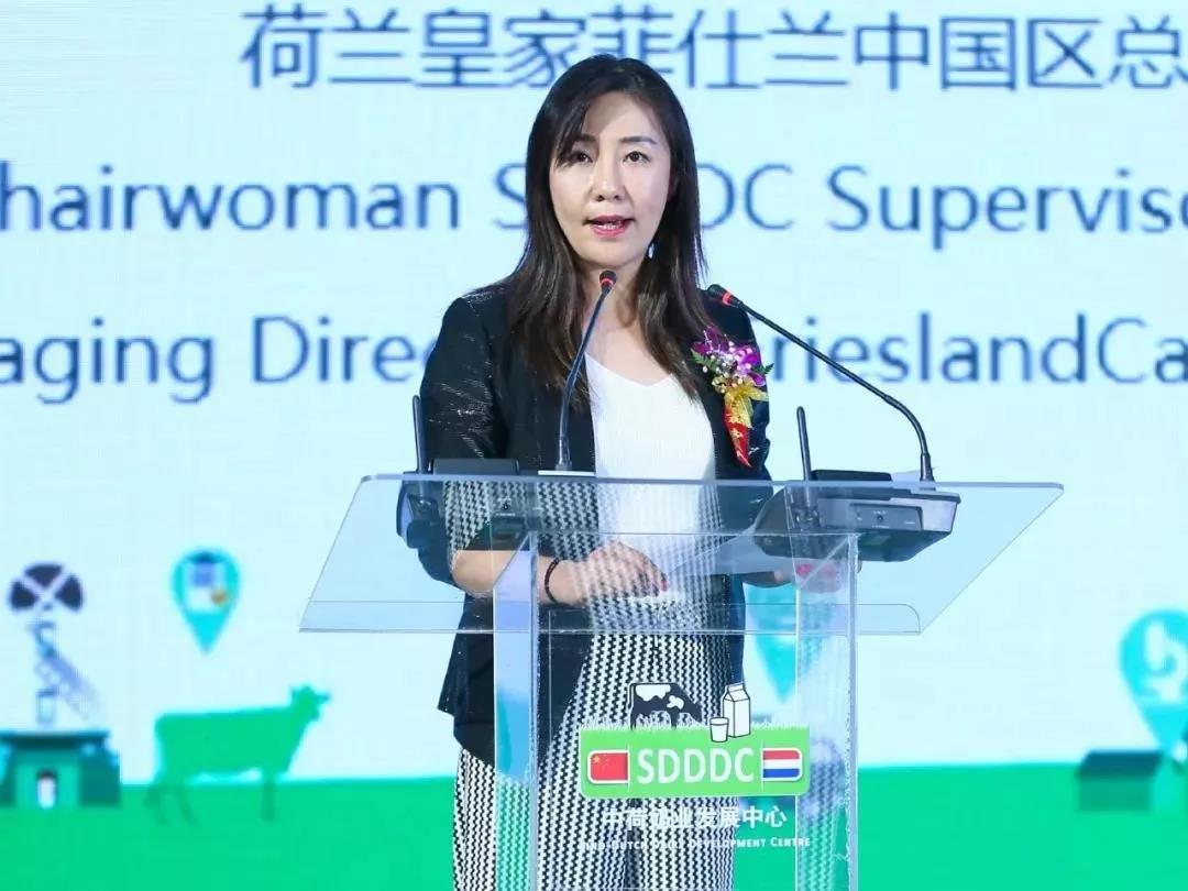 SDDDC走進河南，看看花花牛的國際范兒！