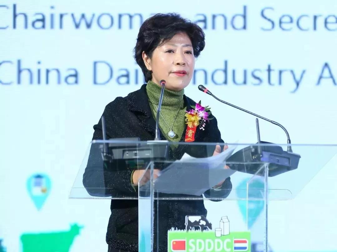 SDDDC走進河南，看看花花牛的國際范兒！