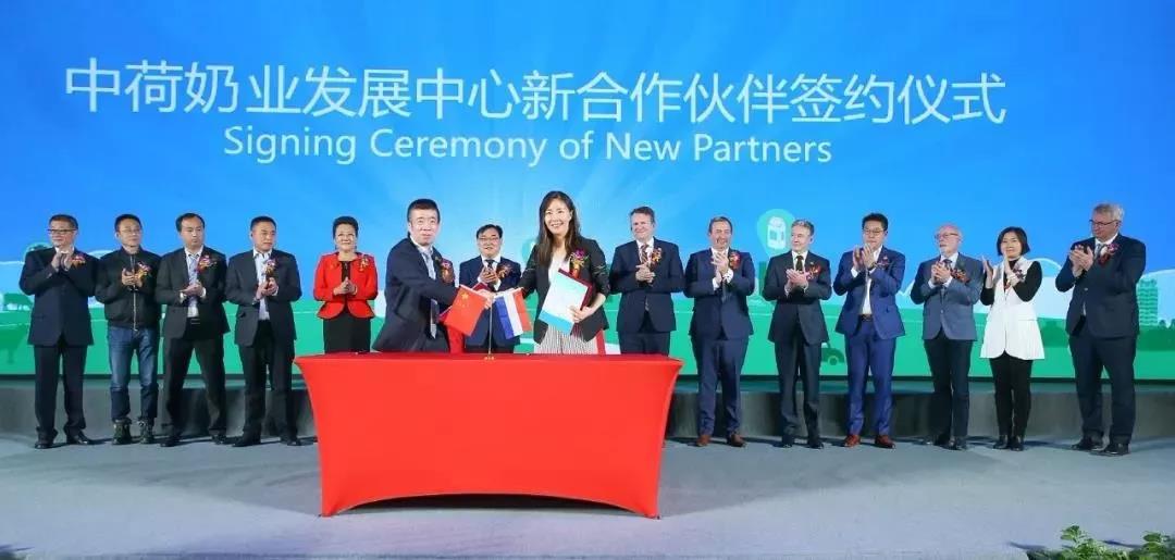 SDDDC走進河南，看看花花牛的國際范兒！