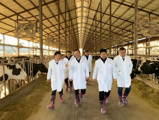 寧夏回族自治區(qū)農(nóng)業(yè)農(nóng)村廳黨組書記、廳長(zhǎng)王剛一行蒞臨花花牛乳業(yè)集團(tuán)調(diào)研
