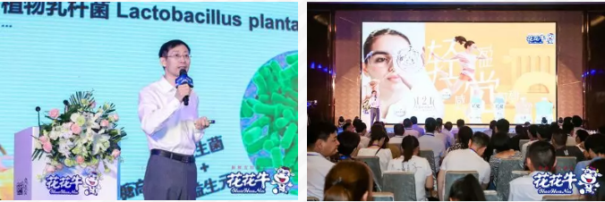 花花牛輕覺上市暨優(yōu)質(zhì)乳工程認(rèn)證發(fā)布會(huì)，盛大啟幕！