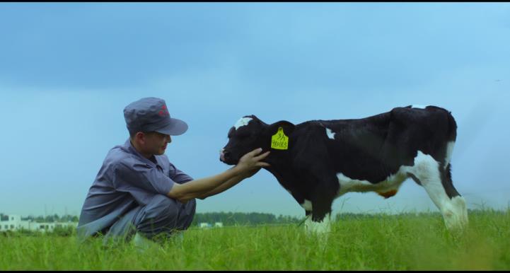 又雙叒叕獲獎(jiǎng)啦！花花牛榮獲“乳品質(zhì)量安全管理 優(yōu)秀企業(yè)”