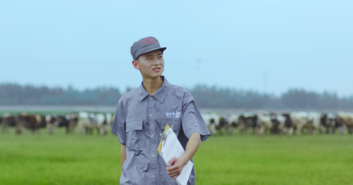 1735267238647942.png image.png