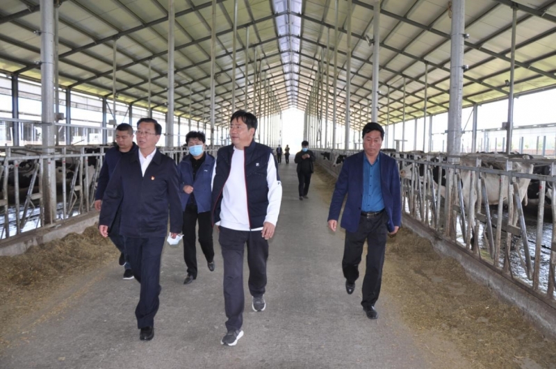 商丘市委常委、宣傳部部長王全周一行蒞臨睢縣瑞亞牧業(yè)有限公司調研